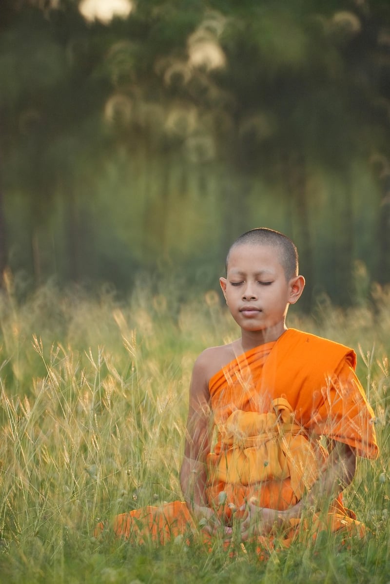 Yoga Meditation Pose